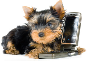 Call Marina Animal Hospital